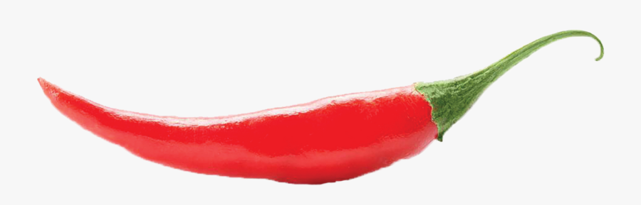 Chili Pepper Cayenne Pepper Serrano Pepper Bird"s Eye - Cranberry Juice, Transparent Clipart