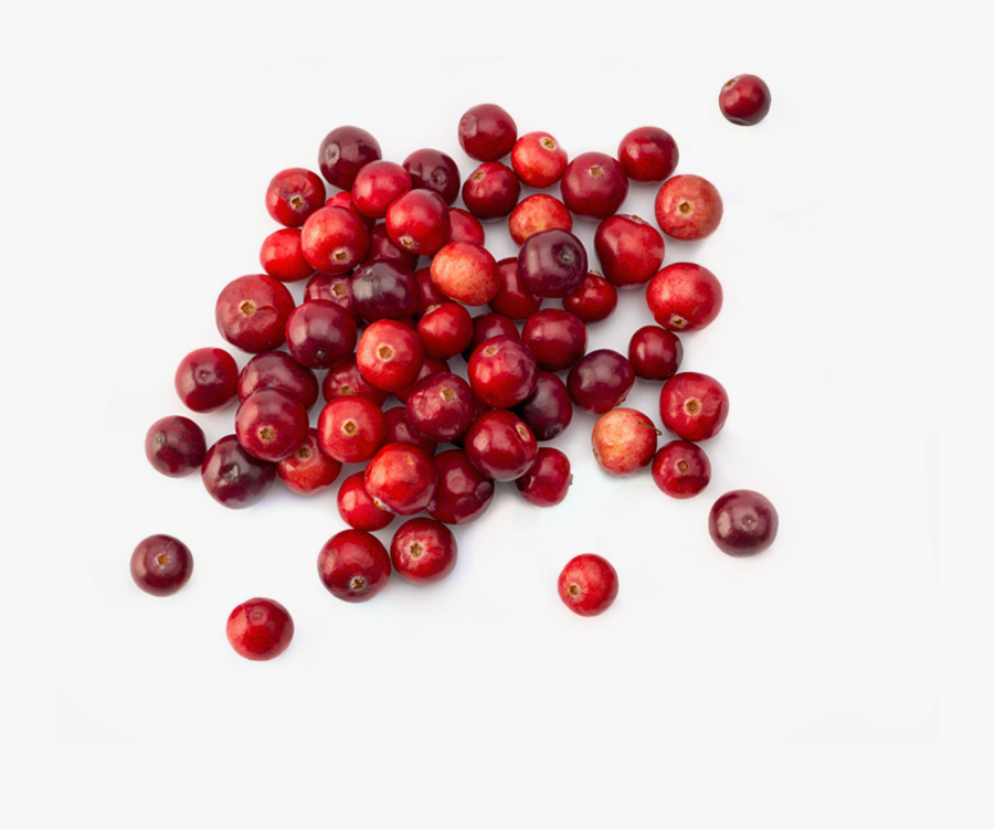 The Cranberries, Transparent Clipart
