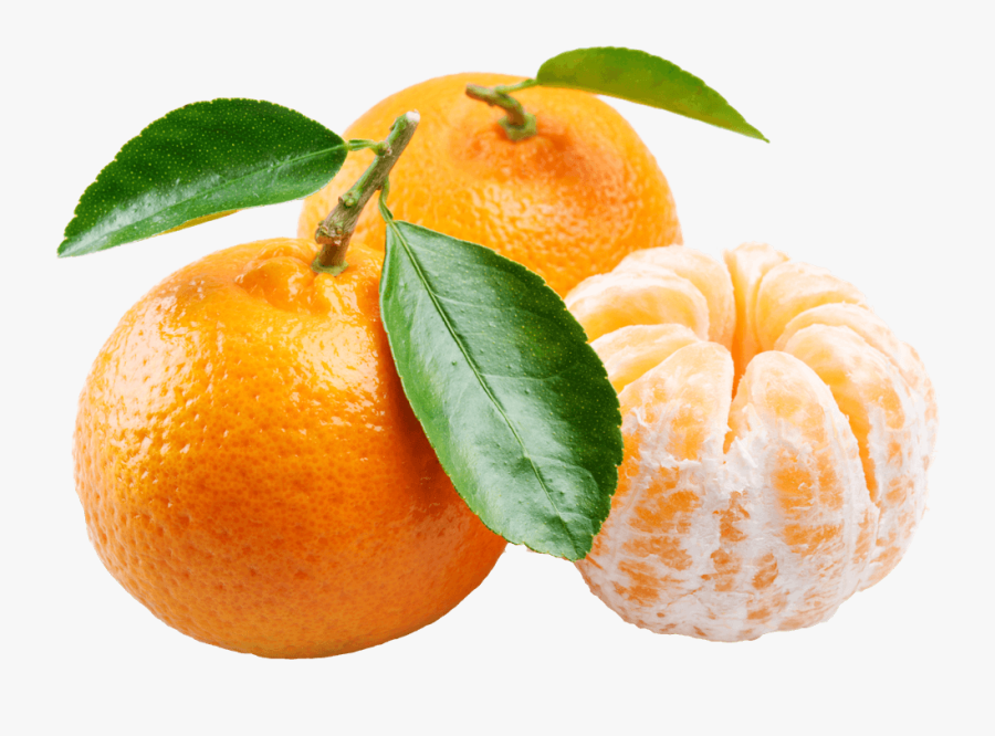 Page Clipart , Png Download - Ponkan Png, Transparent Clipart