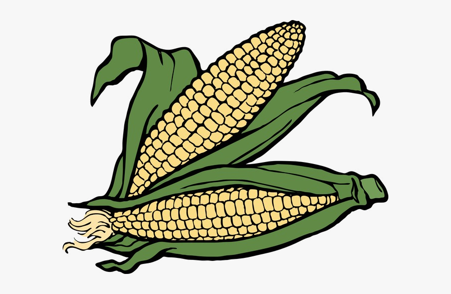 Ear Autumn Two Of Corn Clipart Fall Image And Transparent - Ears Of Corn Clipart, Transparent Clipart