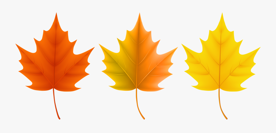 Autumn Leaves Set Png Clip Art Imageu200b Gallery Yopriceville - Sugar Maple Leaf Colors, Transparent Clipart