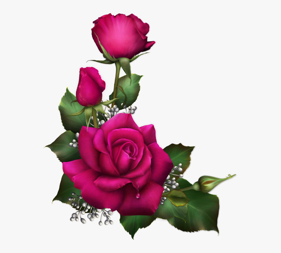 Flores Rosas Para Sublimar, Transparent Clipart