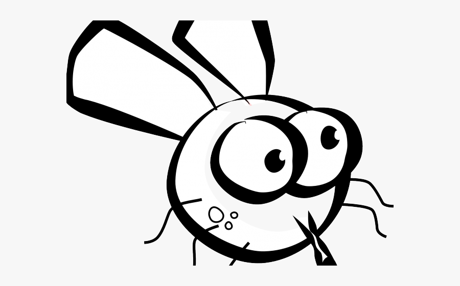 Drawing A Fruit Fly , Free Transparent Clipart ClipartKey