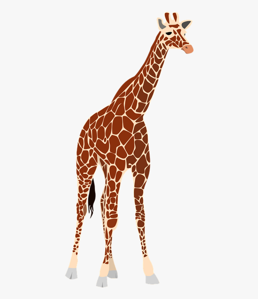 Free Png Giraffe Png Images Transparent - Giraffe Free, Transparent Clipart