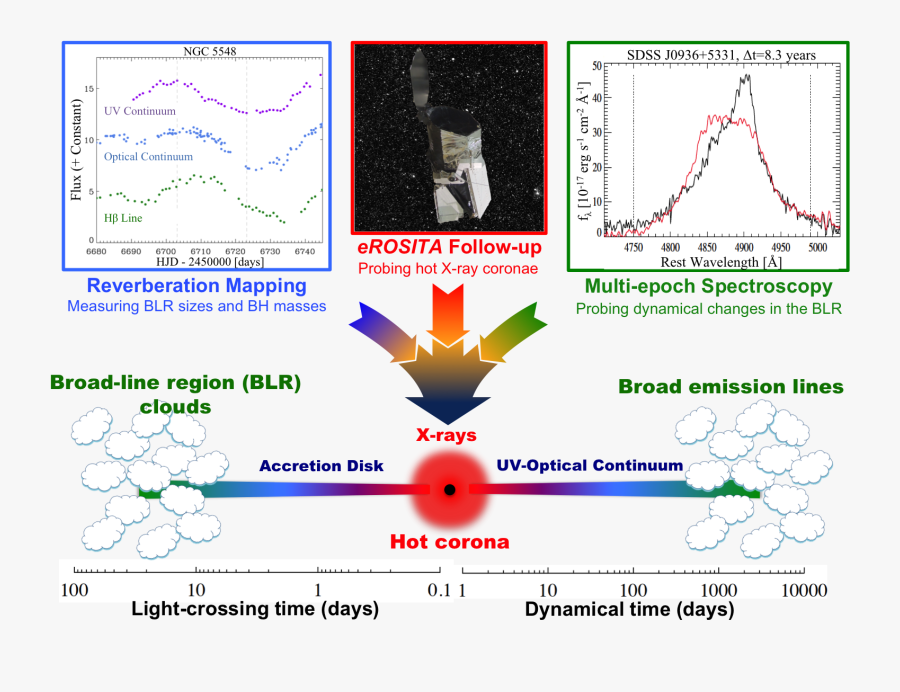 Schematic Overview Of The Innermost Regions Around - Sdss J1408 Black Hole, Transparent Clipart