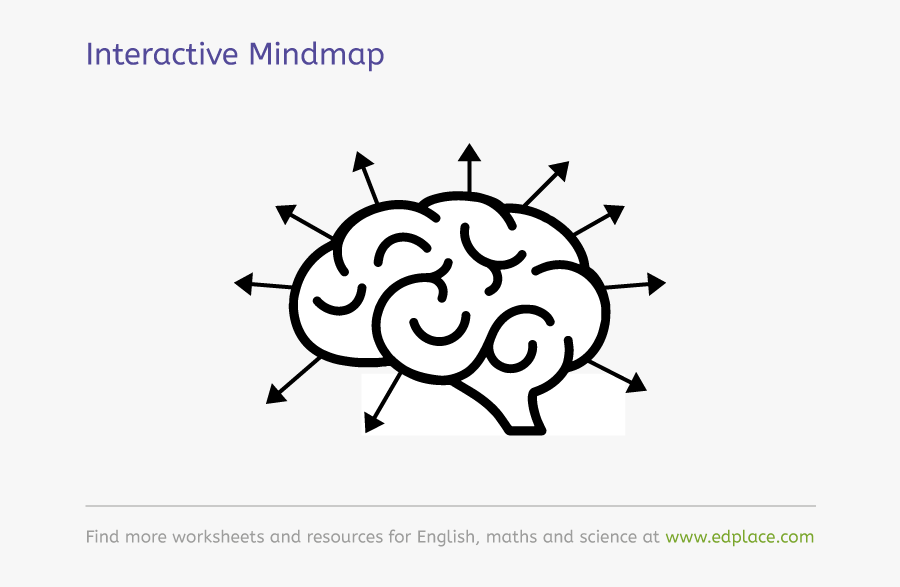 Vector Human Brain Icon, Transparent Clipart