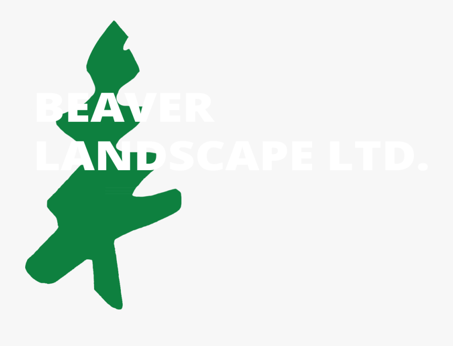 Transparent Stone Pathway Clipart - Illustration, Transparent Clipart