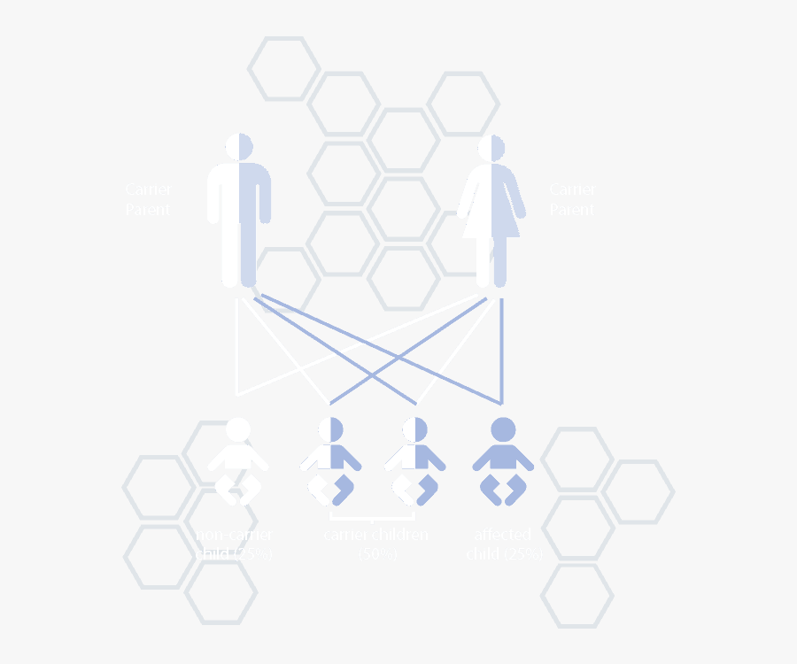 Clip Art Dna Infographic - Wickelraum, Transparent Clipart