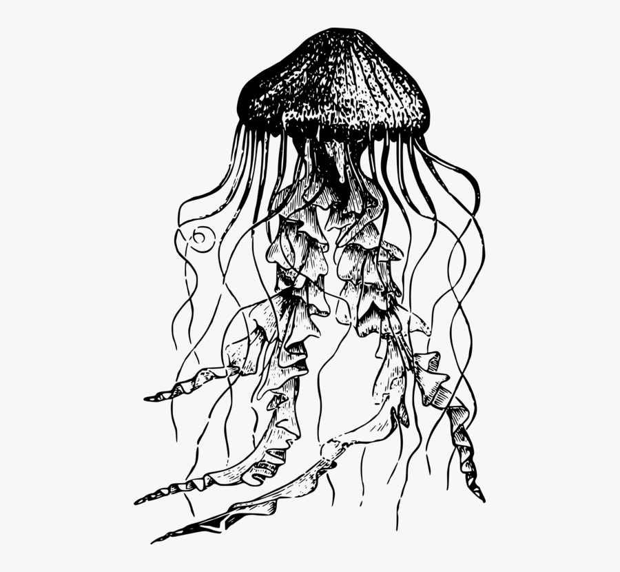 Art,symmetry,monochrome Photography - แมงกะพรุน การ แลกเปลี่ยน แก๊ส, Transparent Clipart
