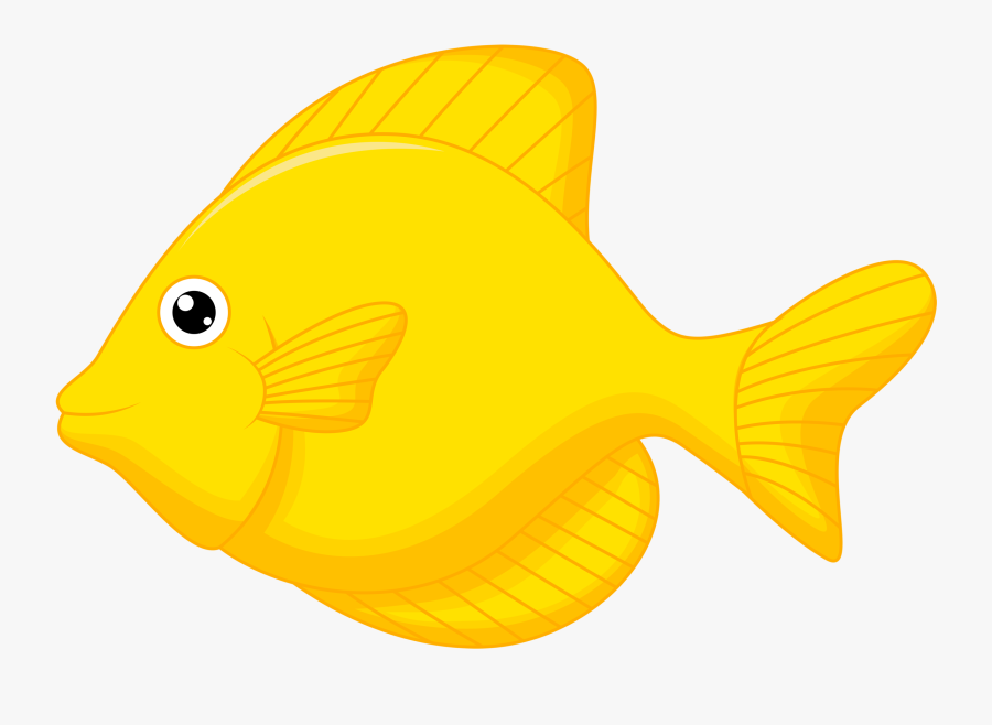 Garibaldi (fish), Transparent Clipart
