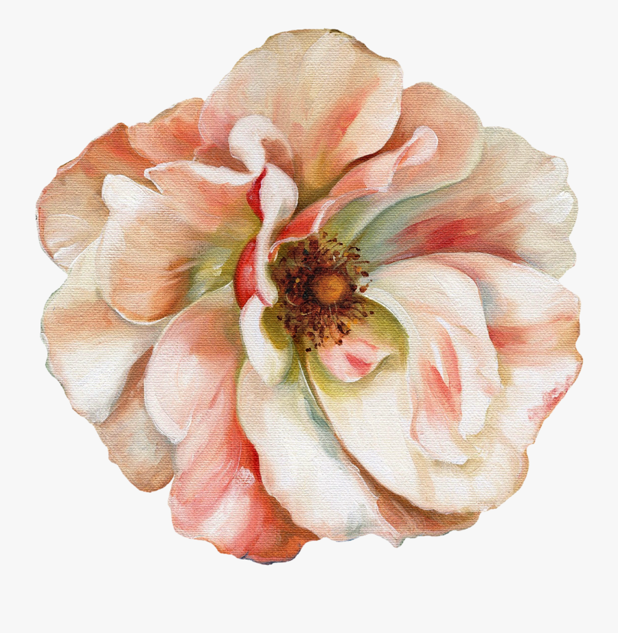 Clip Art Renaissance Flower - Renaissance Flower Transparent Background, Transparent Clipart