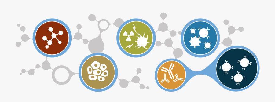 Circle, Transparent Clipart