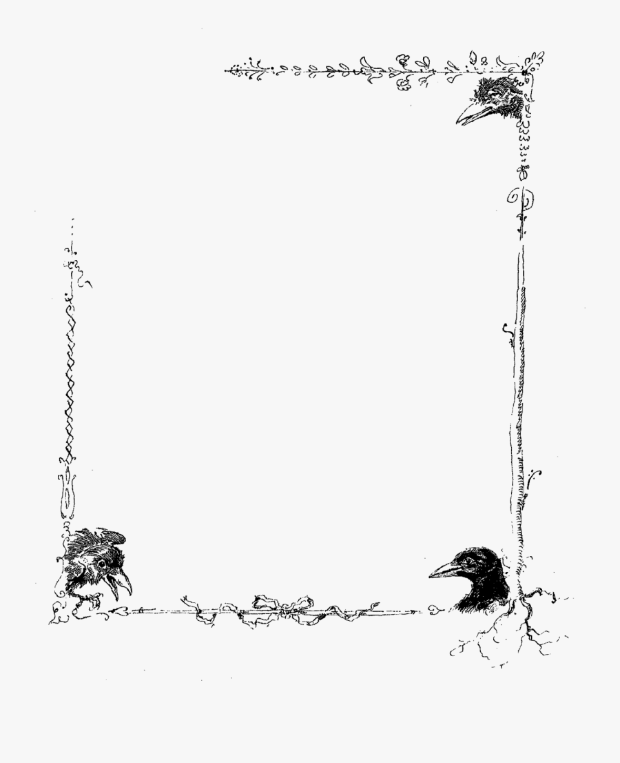 Transparent Renaissance Clipart Borders - Bird Border Frame Transparent, Transparent Clipart