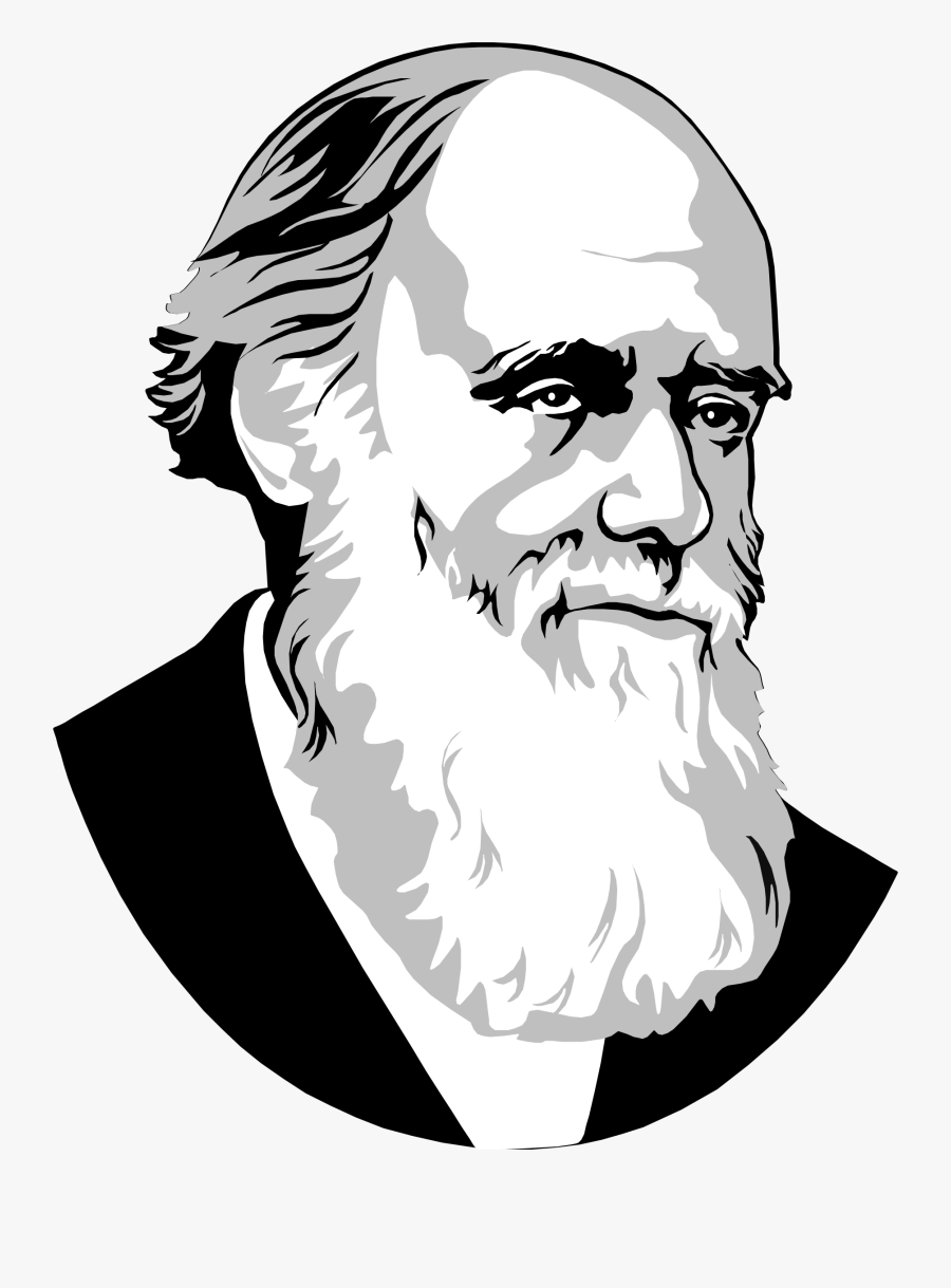 Charles Darwin - Charles Darwin Simple Drawing, Transparent Clipart