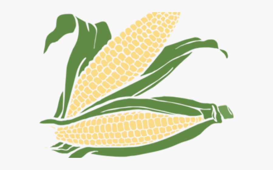 Transparent Background Maize Cob Png, Transparent Clipart