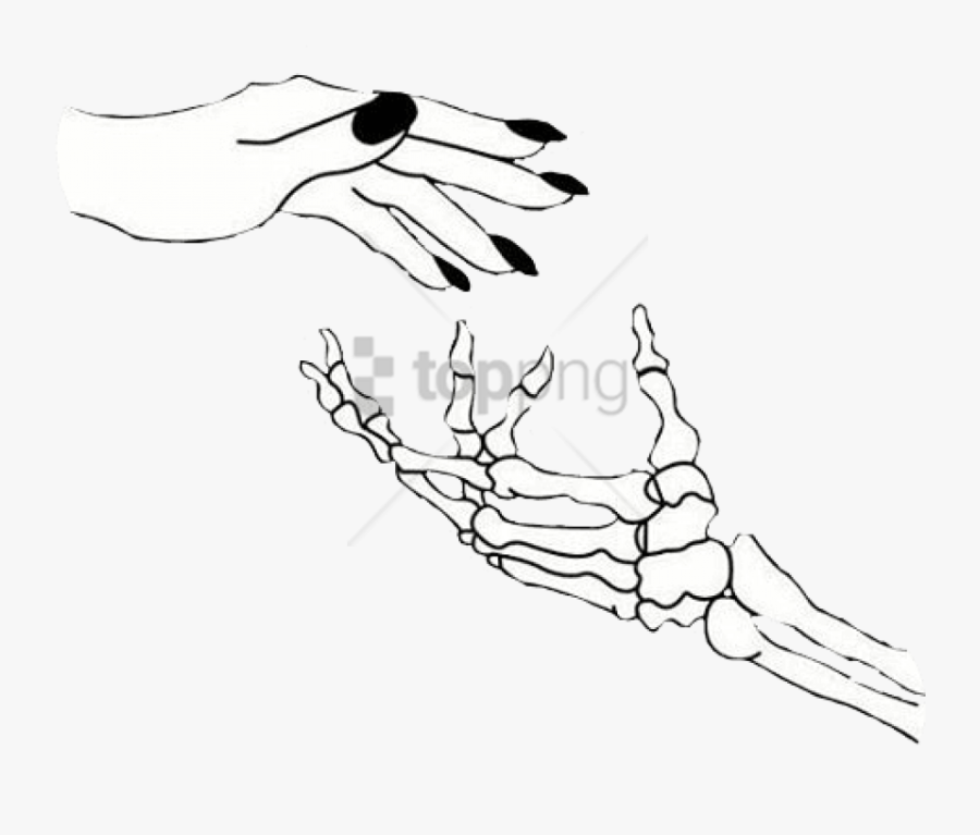 Reaching Up Toppng - Skeleton Hand Line Art, Transparent Clipart