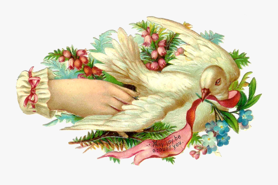 Victorian Dove Cards, Transparent Clipart