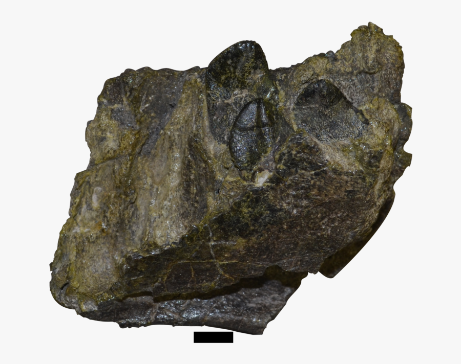 Igneous Rock, Transparent Clipart