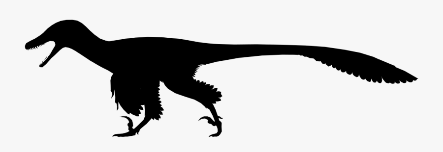Dromaeosaur Silhouette, Transparent Clipart