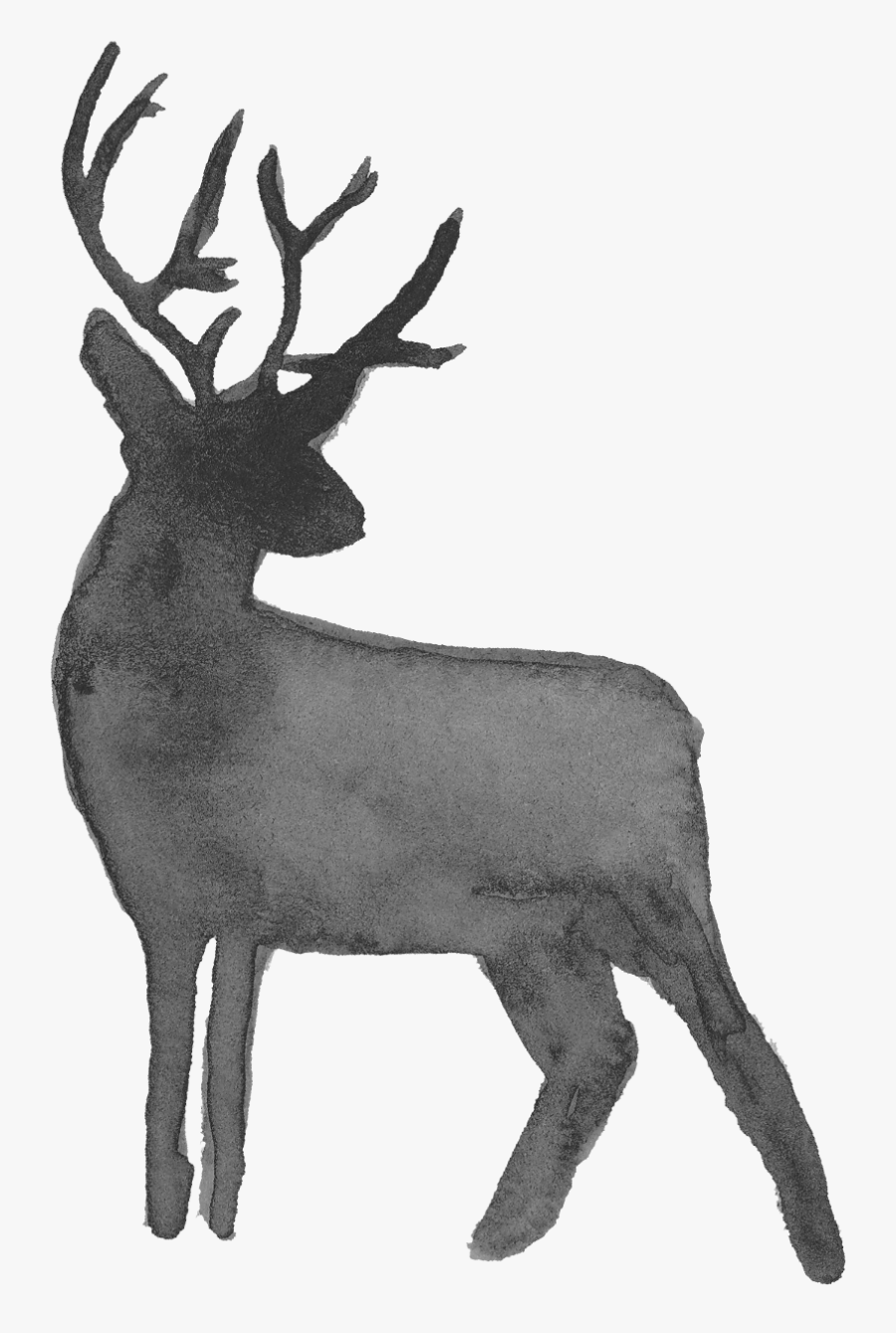 Transparent Reindeer Silhouette Clipart Black And White - Deer Silhouette Transparent Background, Transparent Clipart