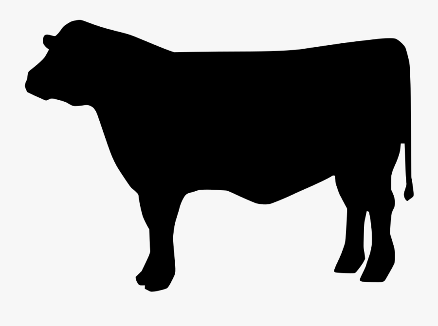 The Feast Of The Goat Pdf Free Download