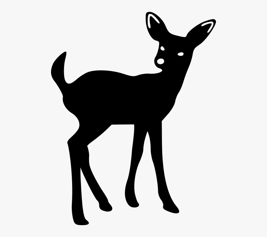 Deer, Young, Fawn, Looking, Silhouette, Animal, Tail - Baby Deer Silhouette Clip Art, Transparent Clipart