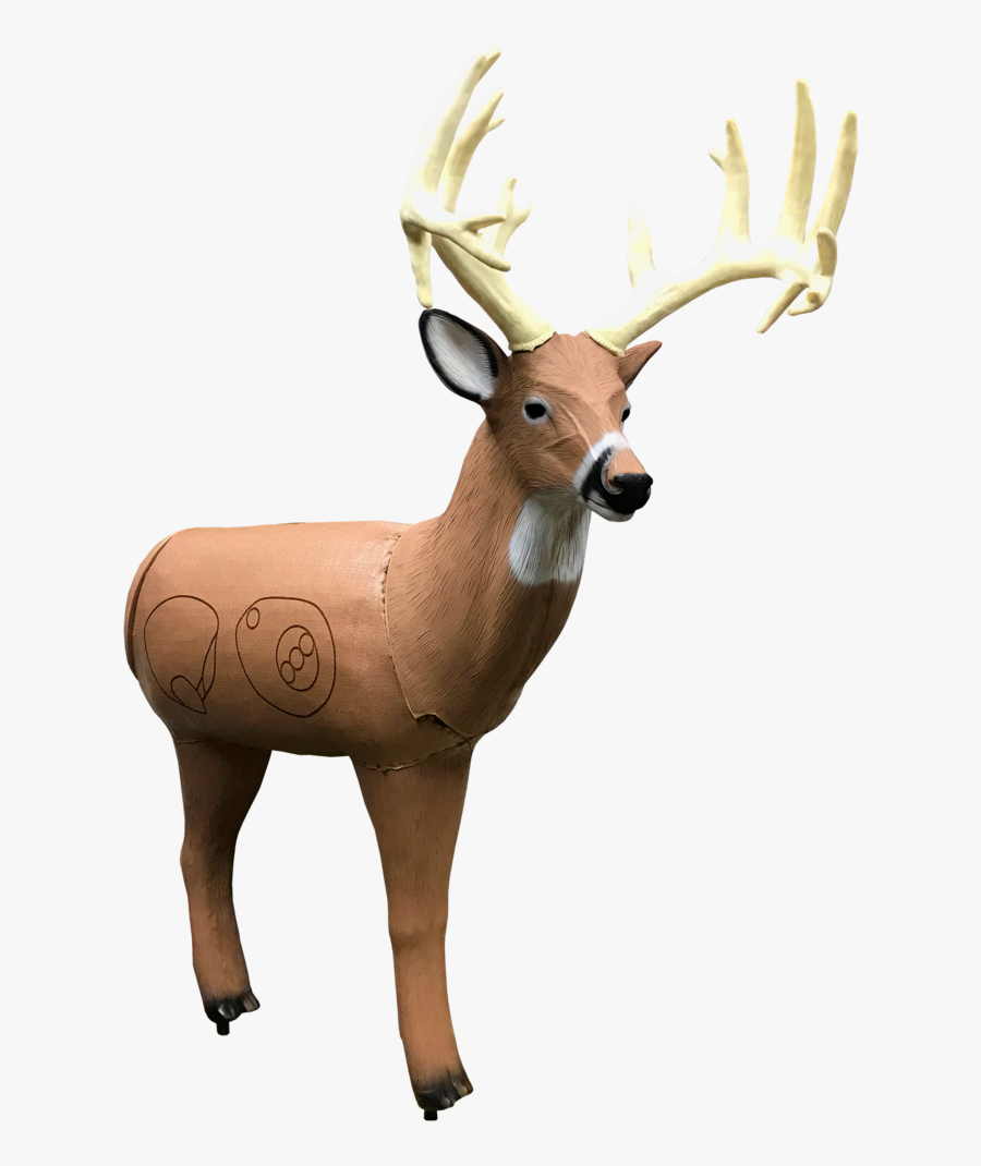 Archery 3d Targets, Transparent Clipart