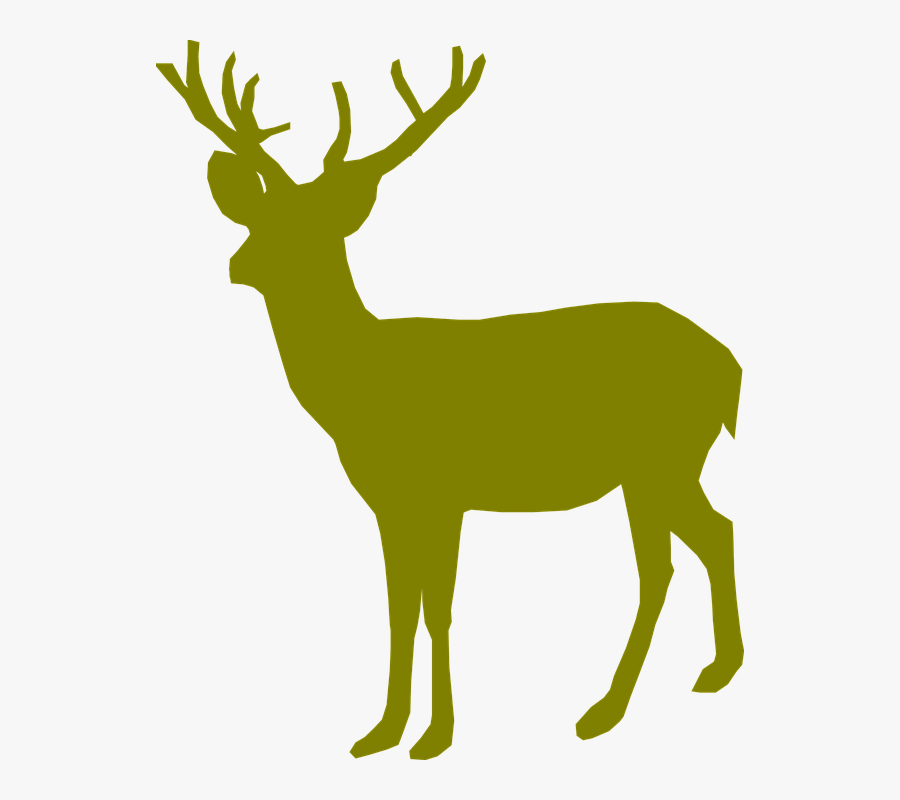 Deer, Buck, Male, Young, Standing, Silhouette - Green Deer, Transparent Clipart