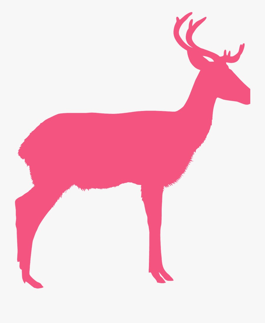 Pink Antelope Clipart, Transparent Clipart