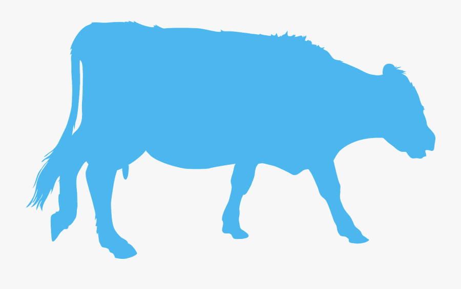 Blue Cow Silhouette, Transparent Clipart