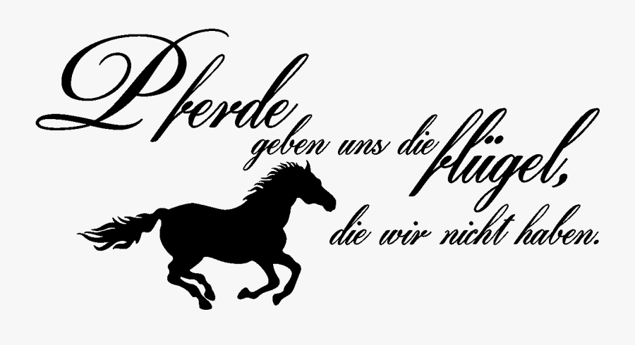 Stickers Muraux Citations Bill Of Right Words , Free