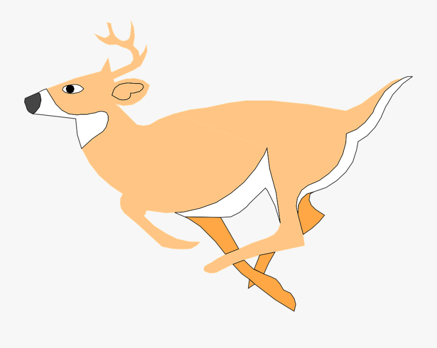 Deer, Running, Forest, Jumping, Leaping, Animal - Deer Cartoon Gif Png, Transparent Clipart