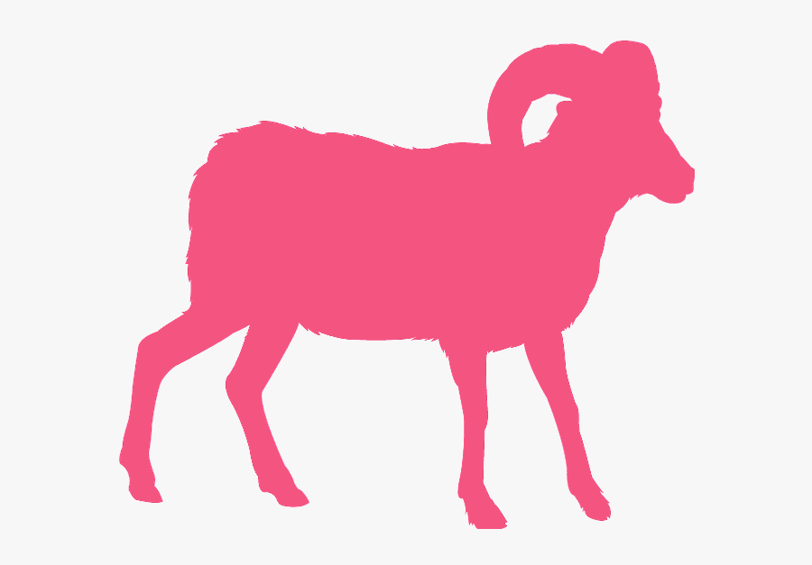 Hewan Qurban Vector Png, Transparent Clipart