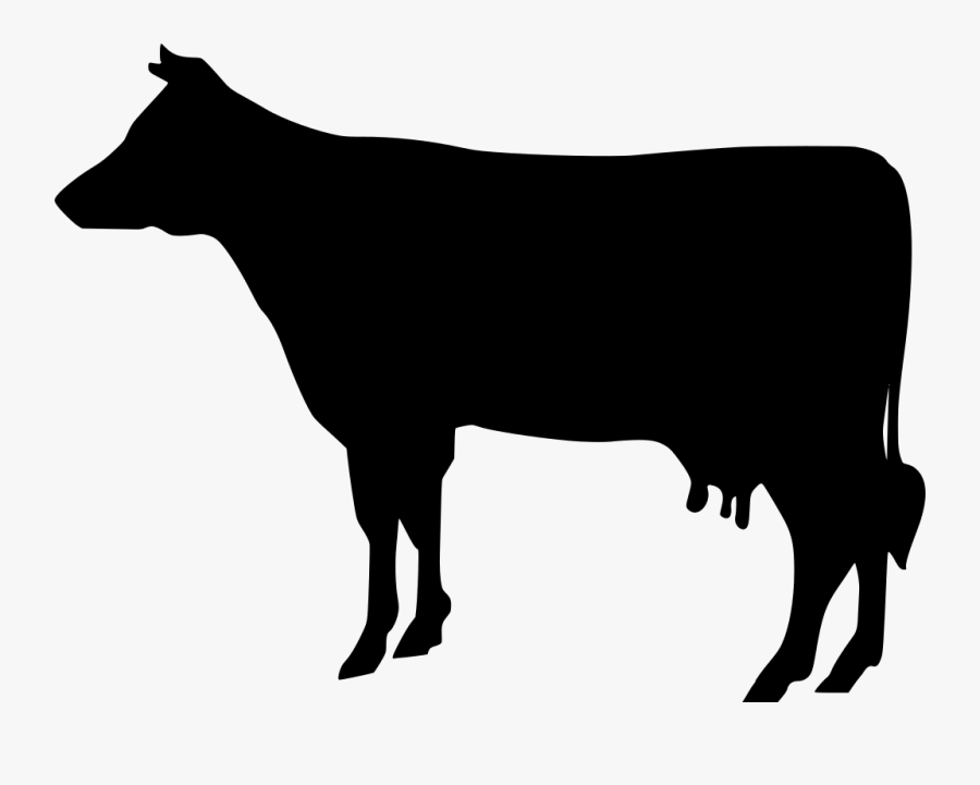 Bovine Vector, Transparent Clipart