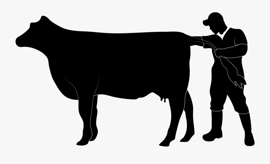 Cody Creelman, Cow Vet - Cody Creelman Cow Vet, Transparent Clipart