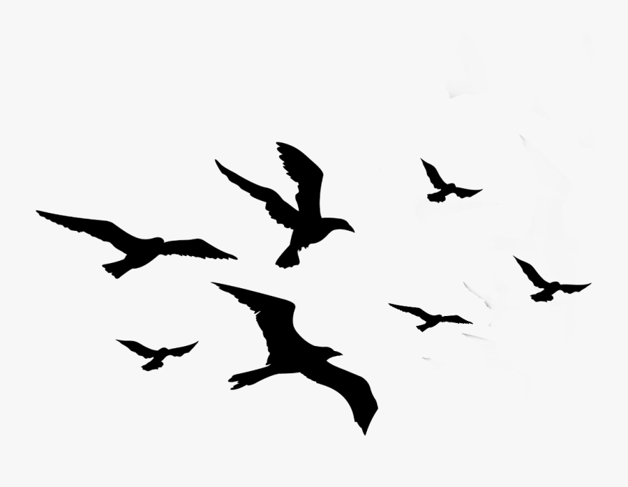 Transparent Bird Silhouette Clipart - Birds For Picsart, Transparent Clipart