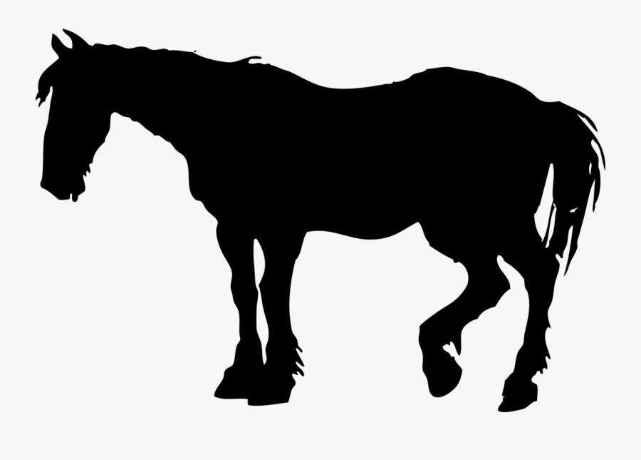 Horse Silhouette Clipart Png, Transparent Clipart