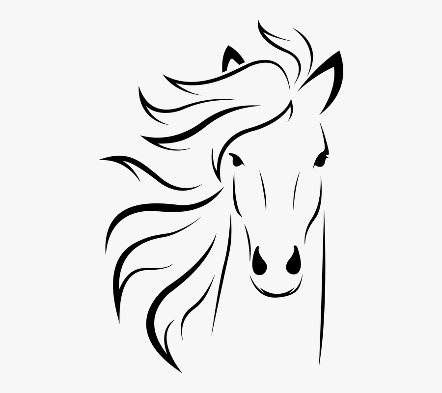 Animal, Equine, Face, Horse, Silhouette - Horse Face Line Art, Transparent Clipart
