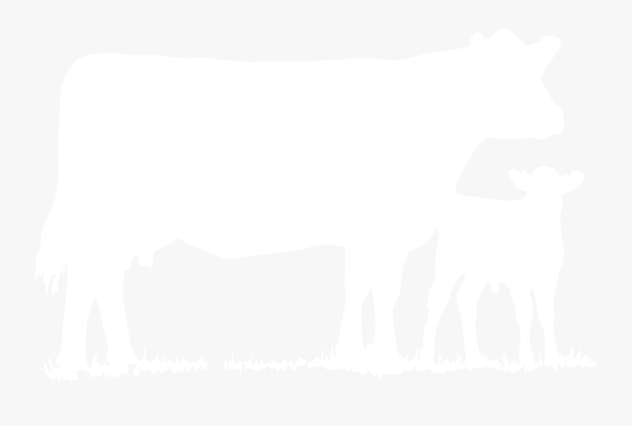 Cow - White Bovine Silhouette Png, Transparent Clipart