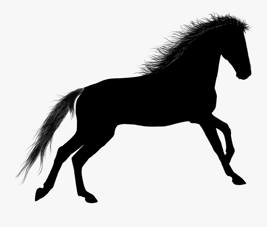 Horse Silhouette 4 Clip Arts, Transparent Clipart