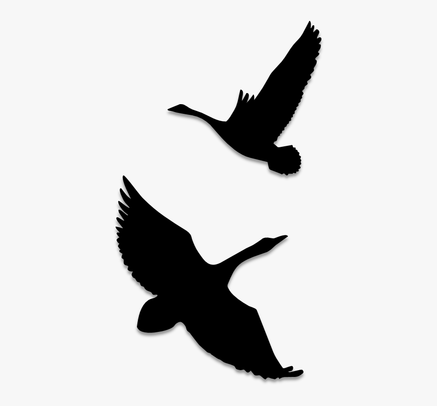 Birds Silhouettes Art & Islamic Graphics - Seabird, Transparent Clipart