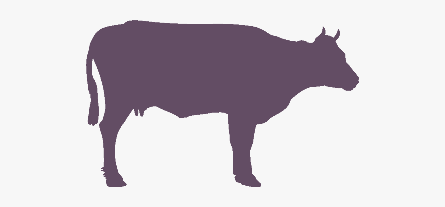 Holstein Friesian Cattle Vector Graphics Angus Cattle - Cow Silhouette Transparent Png, Transparent Clipart