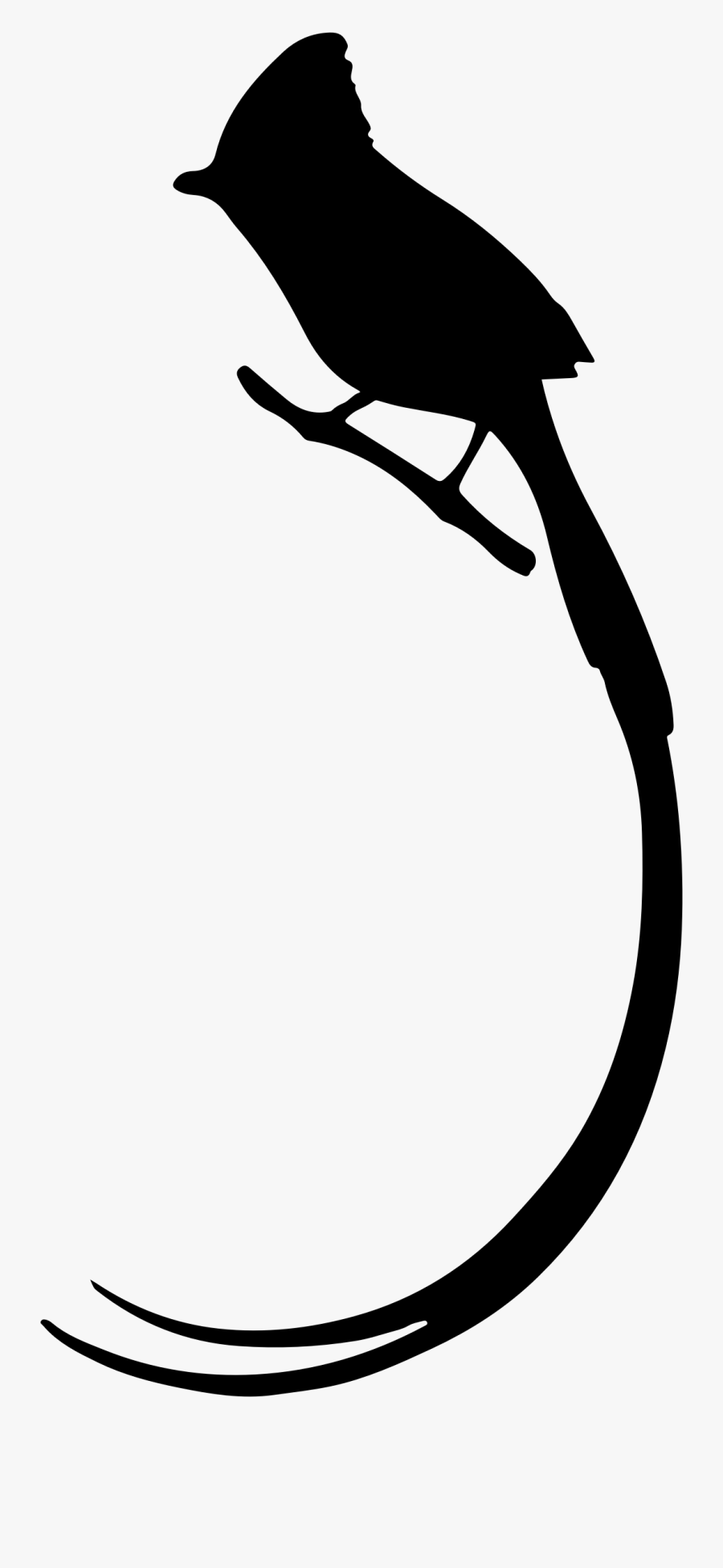 Bird Silhouette Animal - Paradise Flycatcher, Transparent Clipart