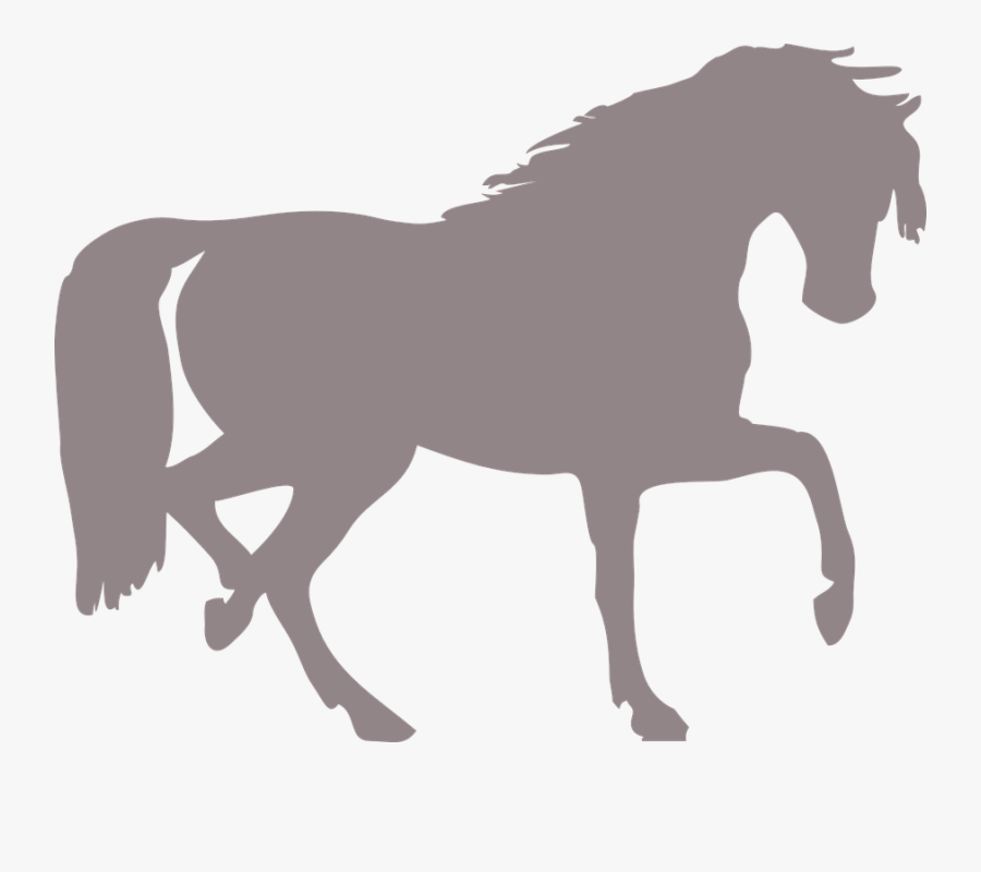 Silhueta Cavalo Png - Horse Silhouette Clip Art, Transparent Clipart