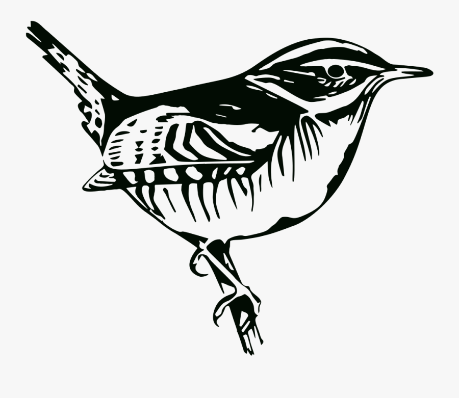 Perched Bird Silhouette - Illustration, Transparent Clipart