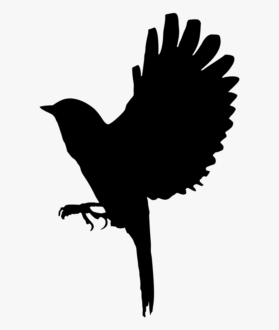 Flapping Bird Silhouette - Illustration, Transparent Clipart