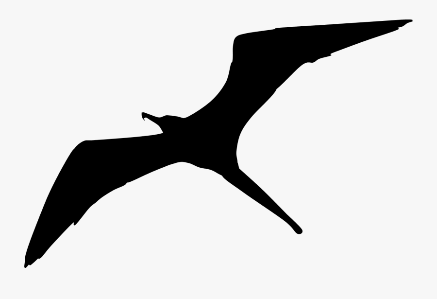 Make A Silhouette Clipart Panda - Frigate Bird Clipart, Transparent Clipart