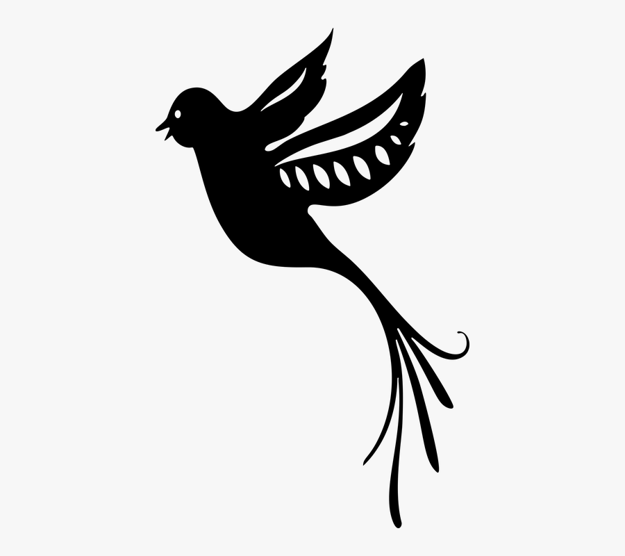 Bird, Silhouette, Animal, Fancy, Flying, Paradise - Fancy Bird Png, Transparent Clipart