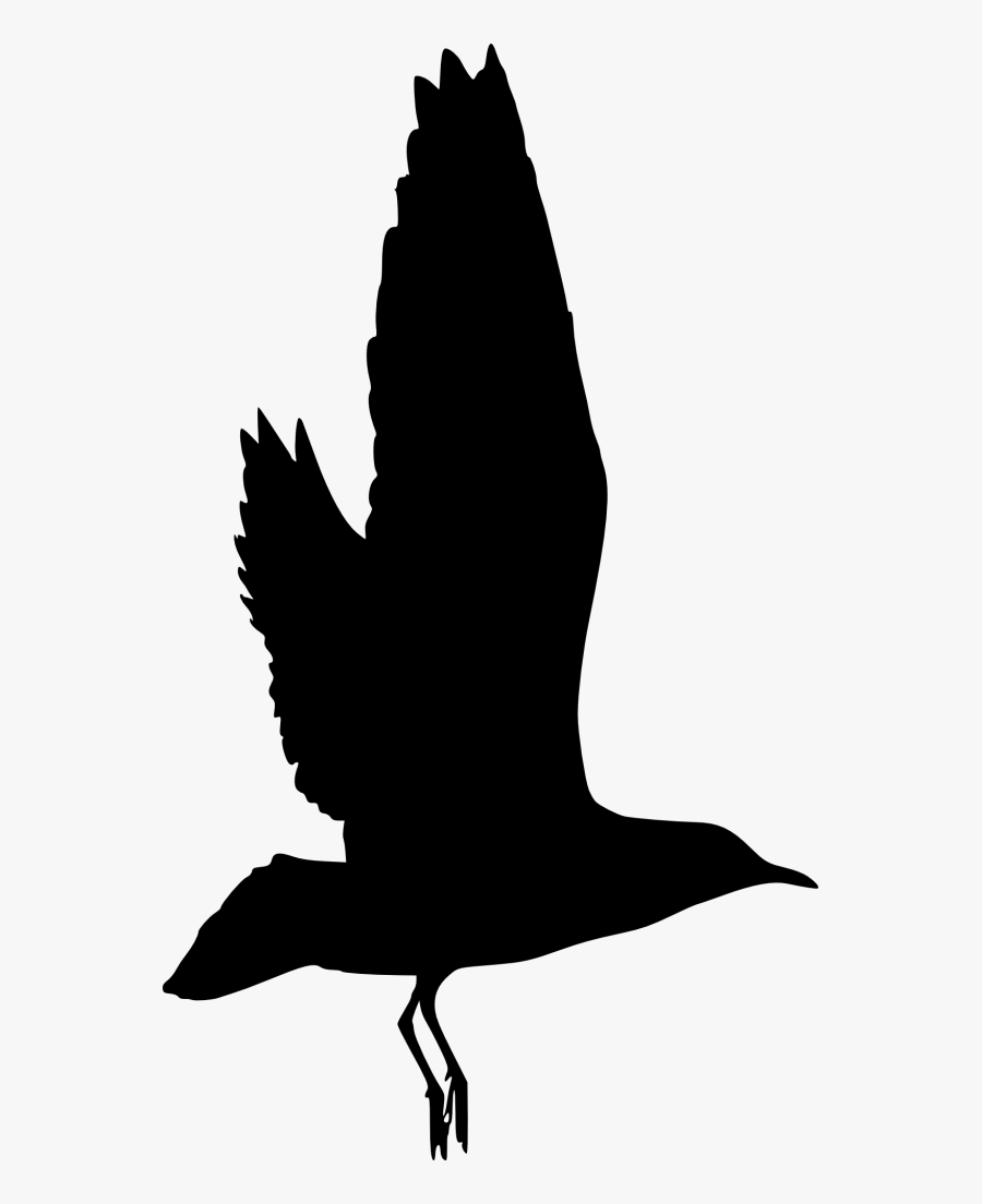 Bird-silhouette - Bird Png Transparent Silhouette, Transparent Clipart