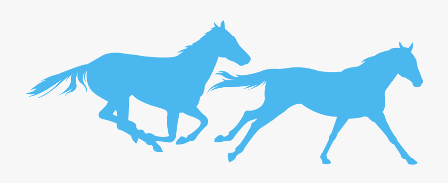 Mustang Horse, Transparent Clipart